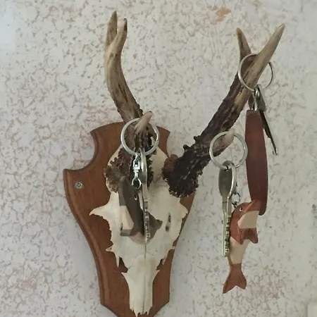 Trash De Luxe アパート