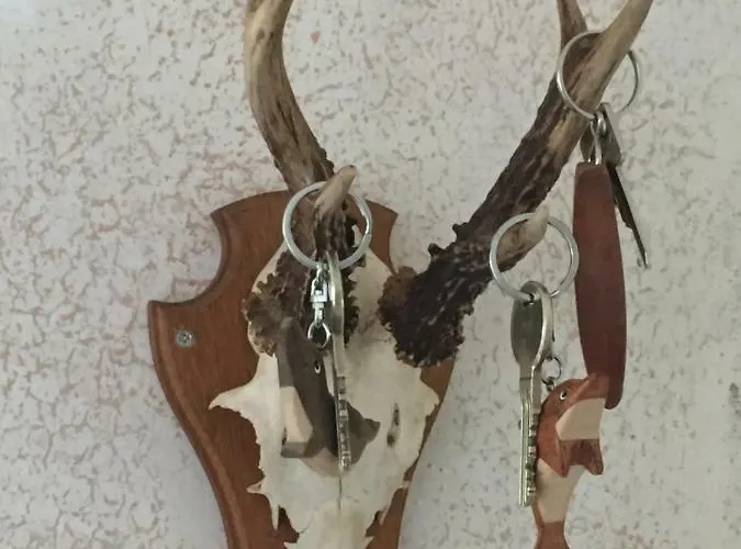 Trash De Luxe Appartement